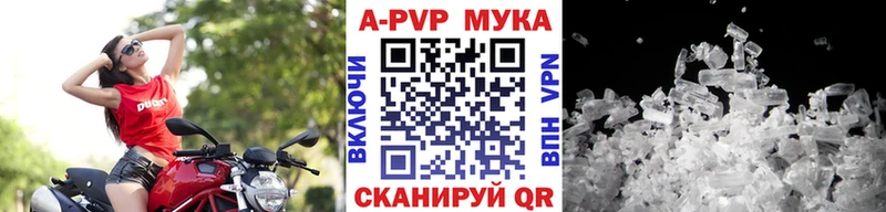 Купить  Канск  Alfa_PVP СК 