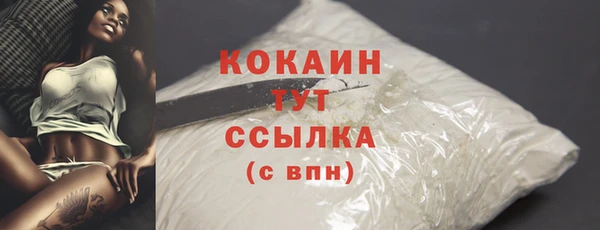 мяу мяу мука Елабуга