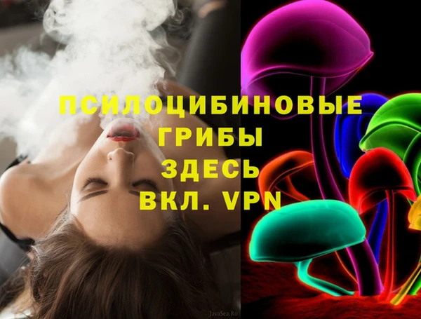 мяу мяу мука Елабуга