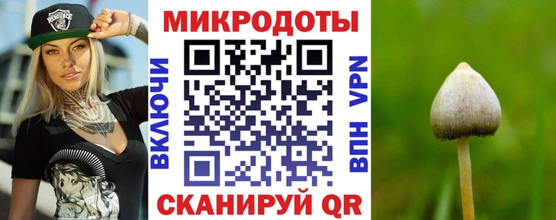 Купить закладки  Канск  Псилоцибиновые грибы Magic Shrooms 